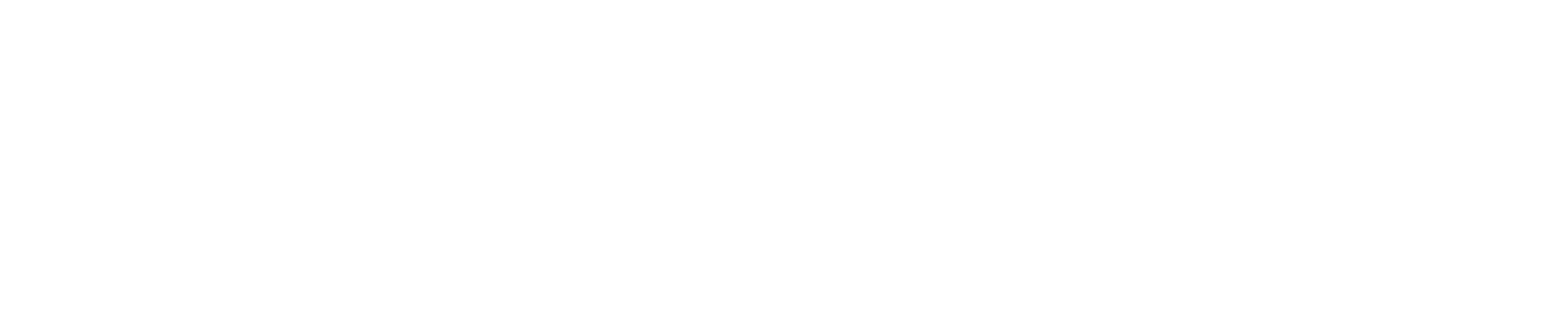 iCHASE